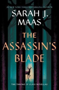 The Assassins Blade H
